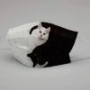 Cat - Yin Yang - Cloth face mask