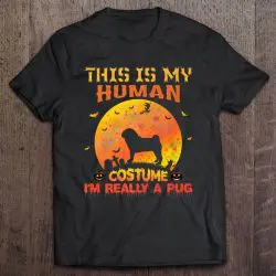 pug halloween costume for humans