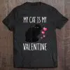 my cat is my valentine