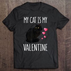 my cat is my valentine