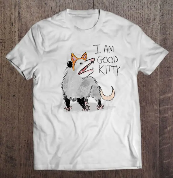 i am good kitty possum
