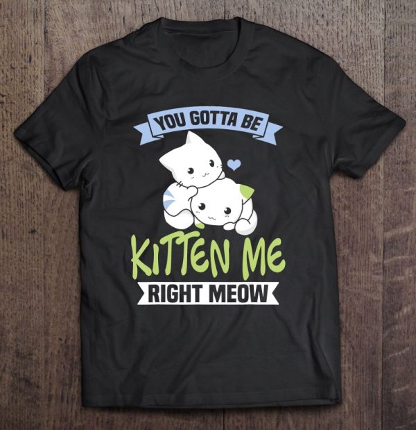 you ve gotta be kitten me right meow shirt