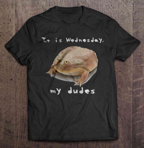 it's wednesday my dudes shirt
