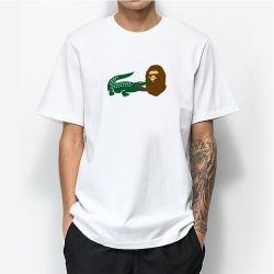 lacoste t shirts size chart