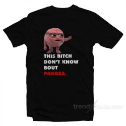 this bitch don't know about pangea