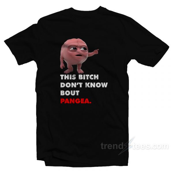 this bitch don't know about pangea