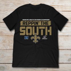 panthers nfc south champion shirt