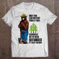only you can prevent forest fires seriously we've been defunded