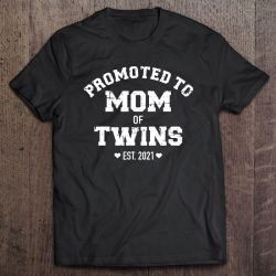 Promoted To Mom Of Twins 2021 Ver2