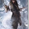 pirate of the caribbean poster