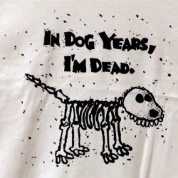in dog years i'm dead