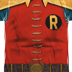 old school robin costume