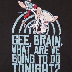 pinky and the brain poster