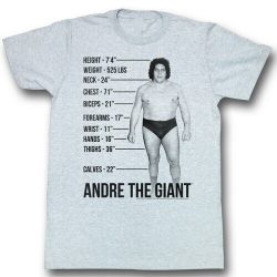 andre the giant size chart