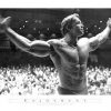 arnold schwarzenegger mr olympia poster
