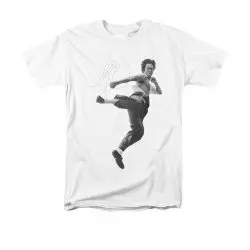 bruce lee flying kick poster