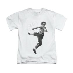 bruce lee flying kick