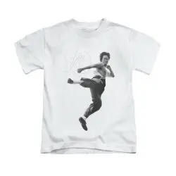 bruce lee flying kick