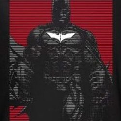 dark knight rises the bat
