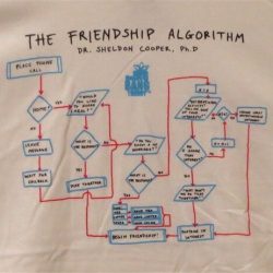 big bang theory friendship algorithm