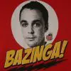 big bang theory bazinga ball pit