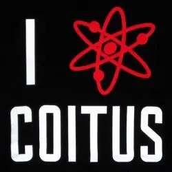 big bang theory coitus