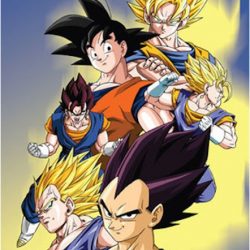 dragon ball z goku vegeta