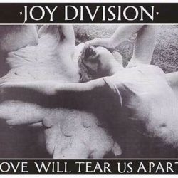 joy division love will tear us apart t shirt