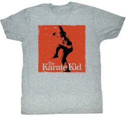 karate kid crane stance