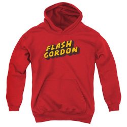 the flash hoodie youth