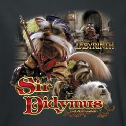 the labyrinth sir didymus