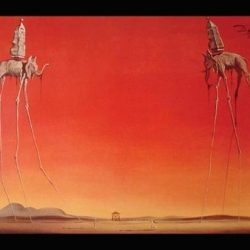 the elephants salvador dali poster