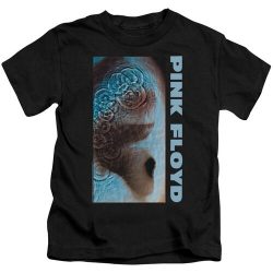 pink floyd meddle shirt