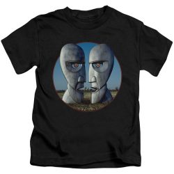 pink floyd division bell t shirt