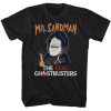 the real ghostbusters sandman