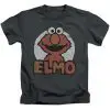 sesame street kids shirt