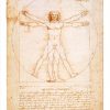 da vinci vitruvian man poster