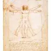 da vinci vitruvian man poster