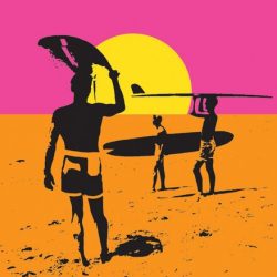 the endless summer poster