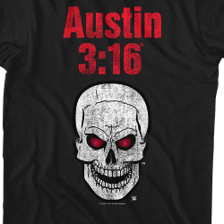 what does austin 3 16 mean