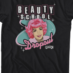 the brady bunch the dropout