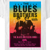 black and blues brothers poster
