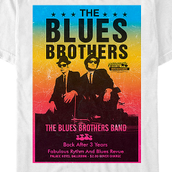 black and blues brothers poster