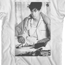 ferris bueller day off theory