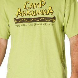 camp anawanna theme song