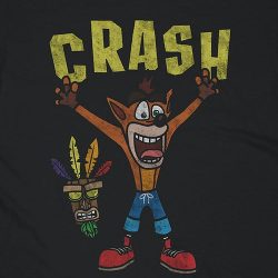 crash bandicoot t pose