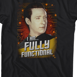 what does fully functional mean
