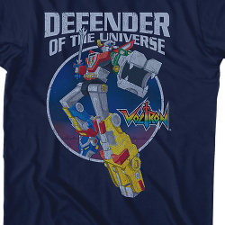 flash defender of the universe