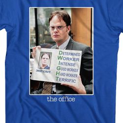 from dwight jersey the office