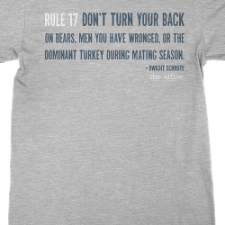 learn your rules dwight